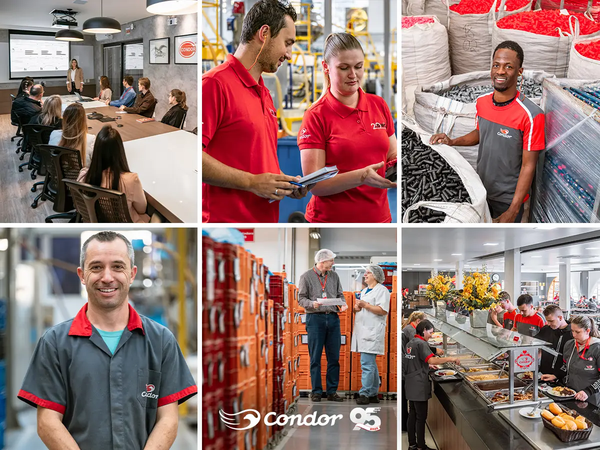 condor 95 anos esg colaboradores
