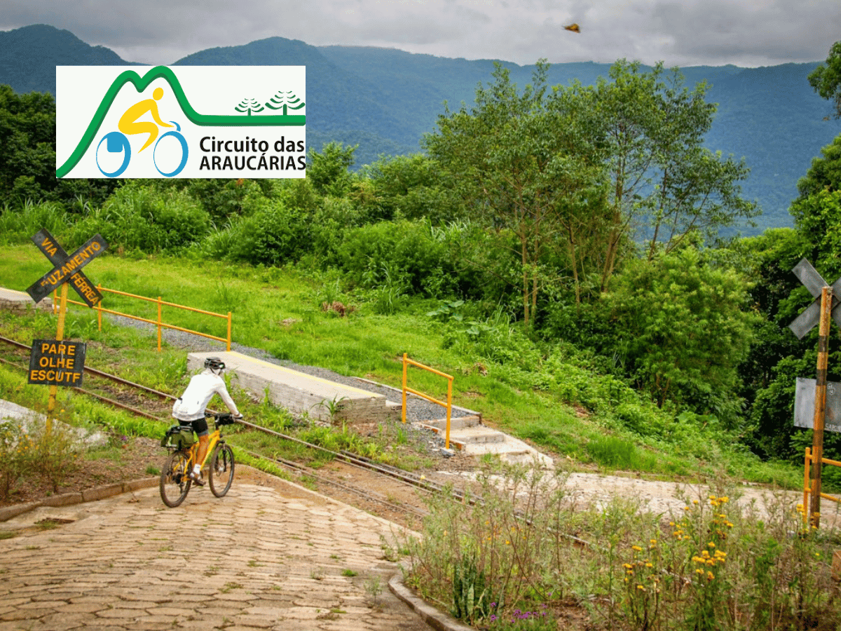 cicloturismo circuito das araucarias