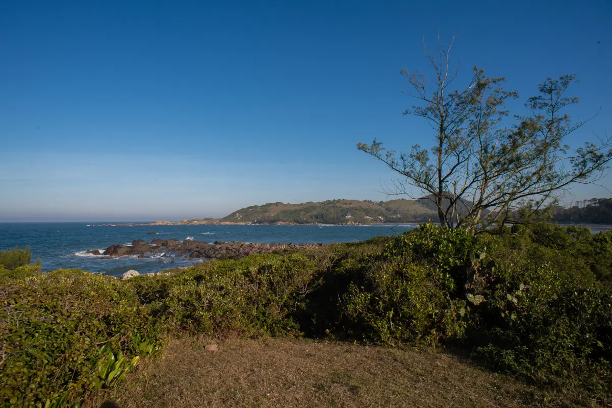 turismo em garopaba santa catarina - Trilha da Praia do Ouvidor -