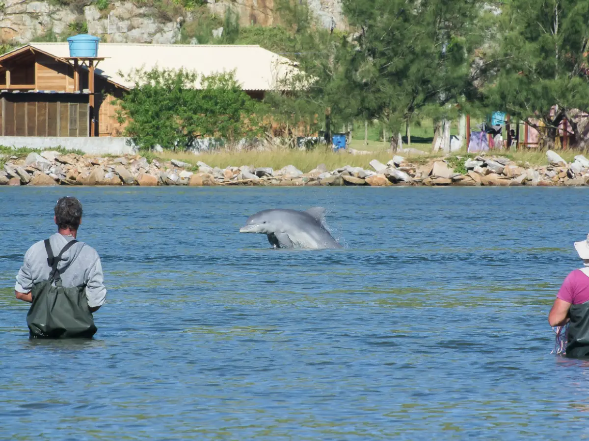 TURISMO-EM-LAGUNA-PESCA-COM-OS-BOTOS